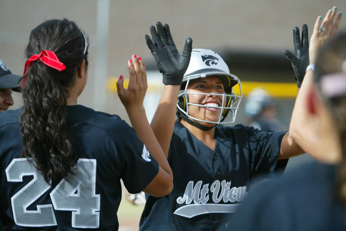 Mountain View Softball